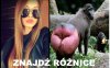 #Polish model