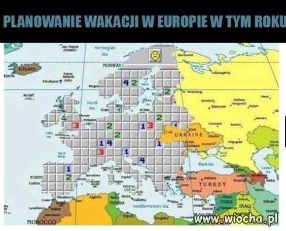 Wakacje w tym roku