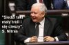Troll wszystkich trolli 