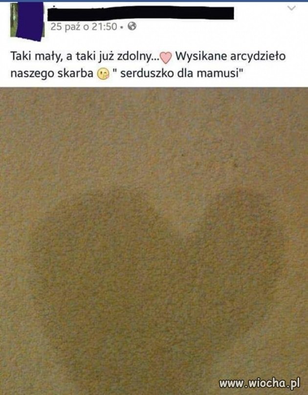 Beka z patologi 