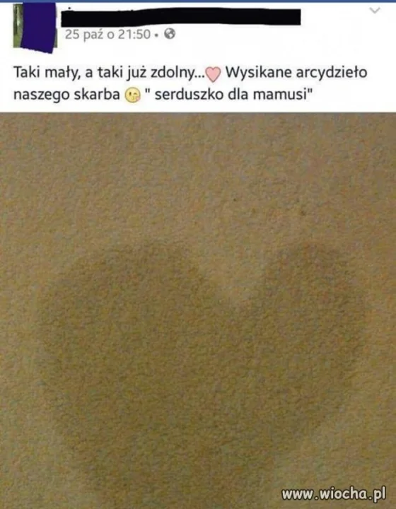 Beka z patologi 