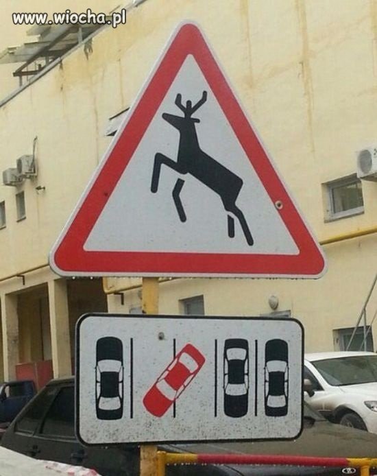 Uwaga Łosie