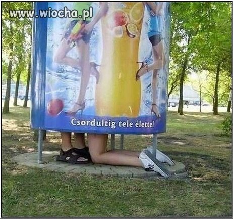 Spowiedź powszechna