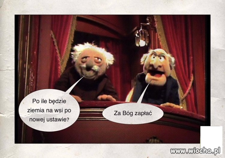 Pislamscy rolnicy mogą czuć się oszukani czyli 