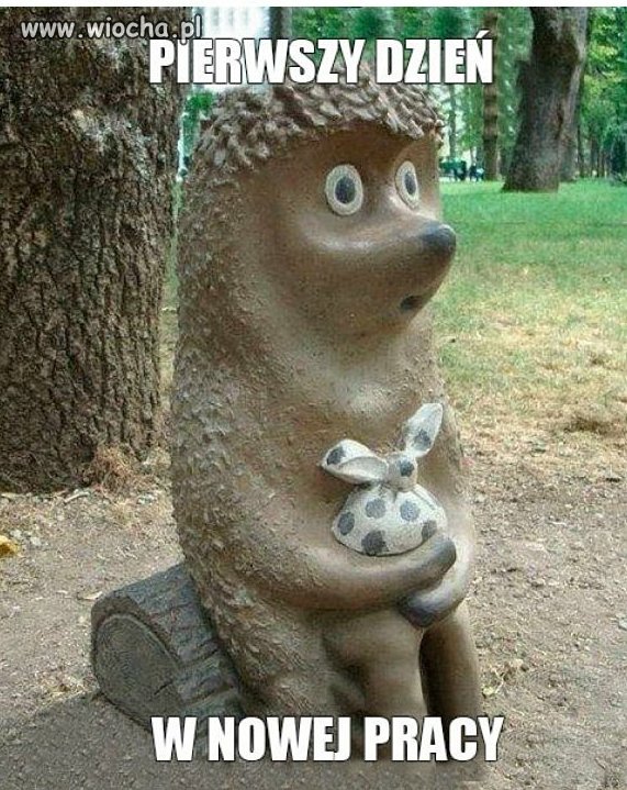 Pierwszy dzień w nowej pracy 
