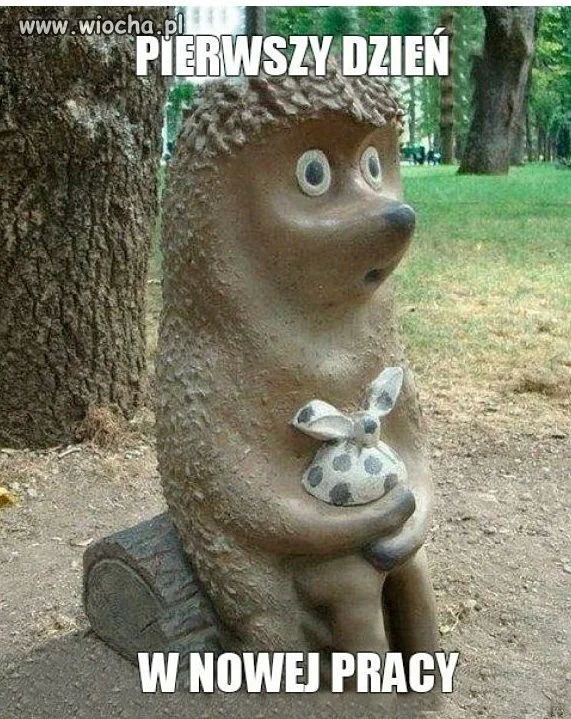Pierwszy dzień w nowej pracy 