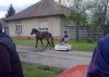 Rydwan 