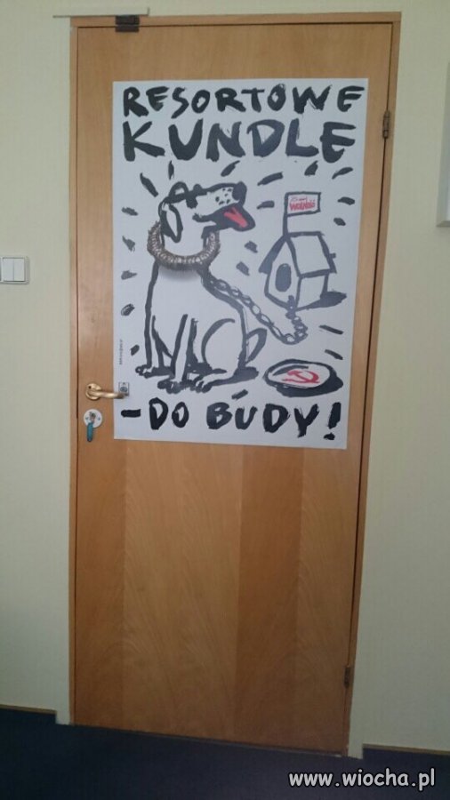 Drzwi percepcji.