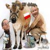 Dobra zmiana