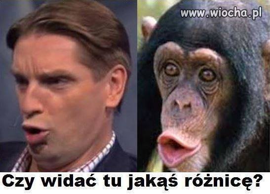 Czy widać tu jakąś różnicę 