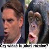 Czy widać tu jakąś różnicę 