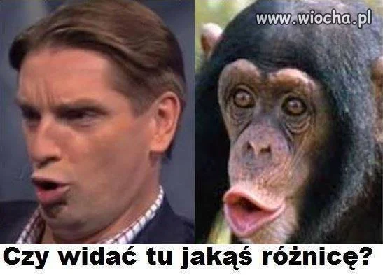 Czy widać tu jakąś różnicę 