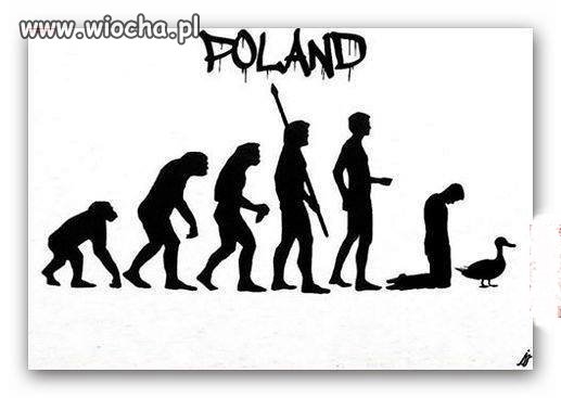 Ewolucja