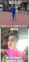 Elo.
