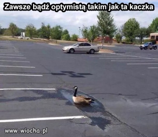 Pozytywnie