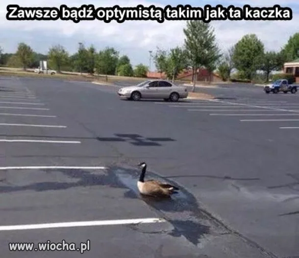 Pozytywnie