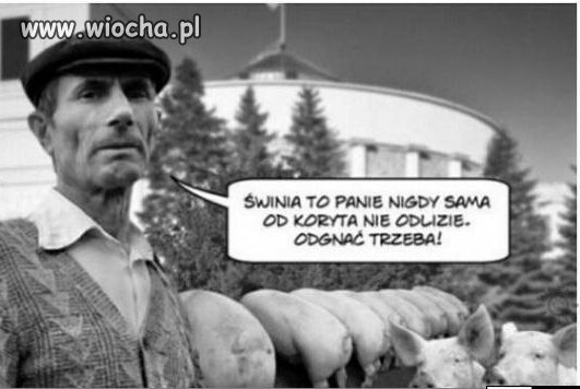 Uparta bestia 