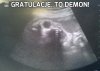 Gratulacje, to demon!