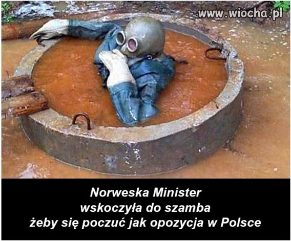 Norweska minister wskoczyła do szamba
