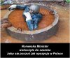 Norweska minister wskoczyła do szamba