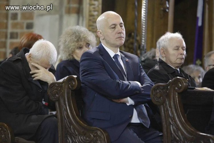 Aaa kotki dwa szarobure oby dwa...
