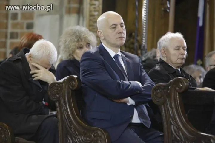 Aaa kotki dwa szarobure oby dwa...