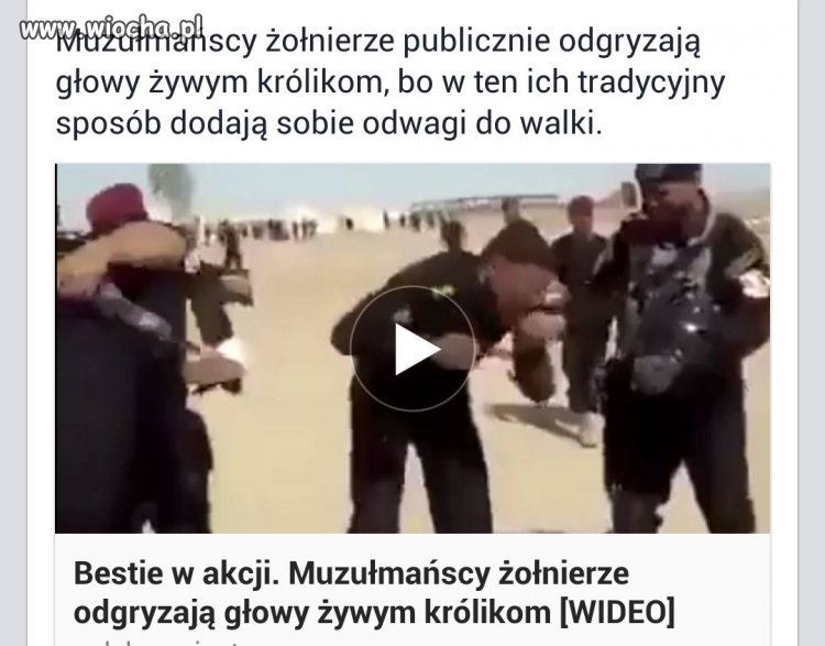 Ta dzicz już jest w Europie.