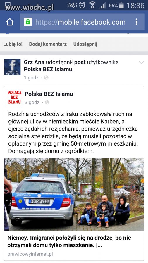 Brak ogródka 