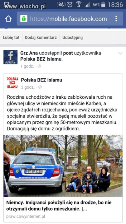 Brak ogródka 
