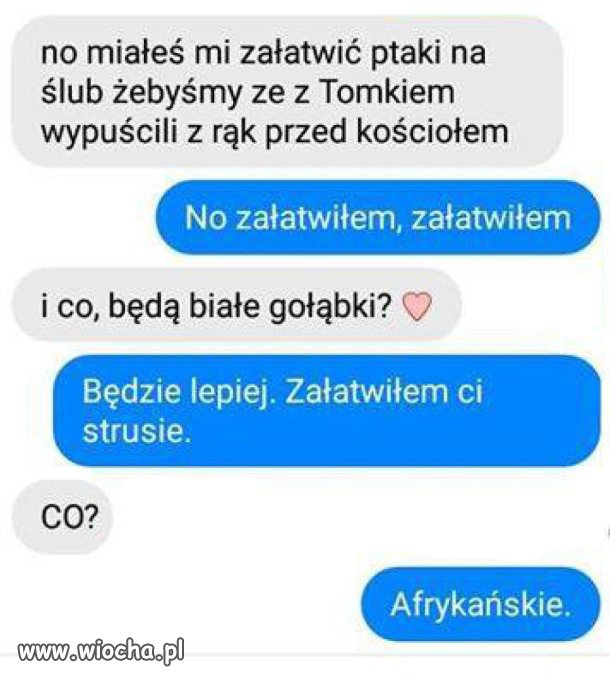 Ptaszki