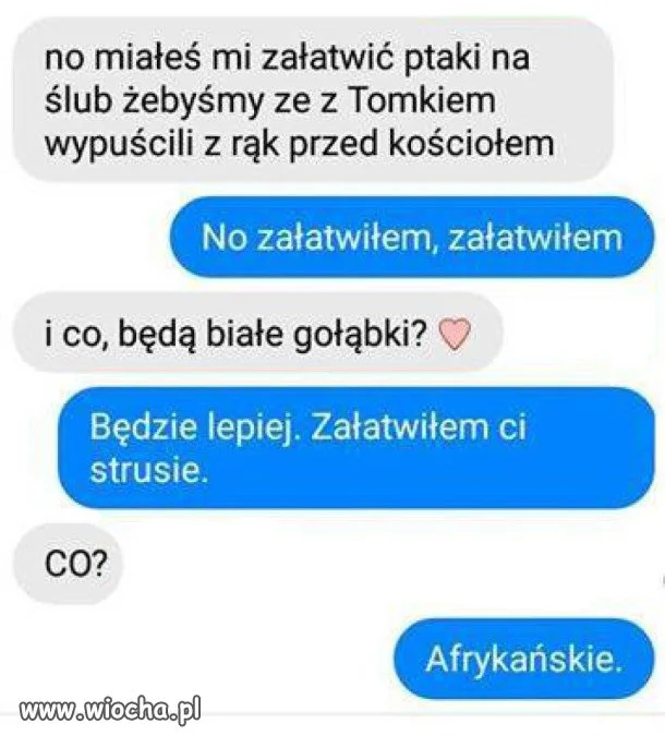 Ptaszki