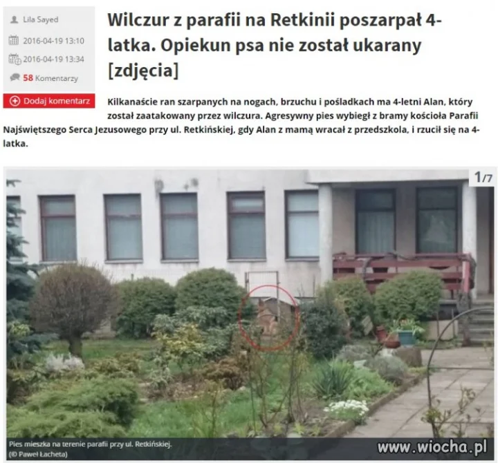 Pies znerwicowany jakiś...