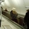 Moda damska