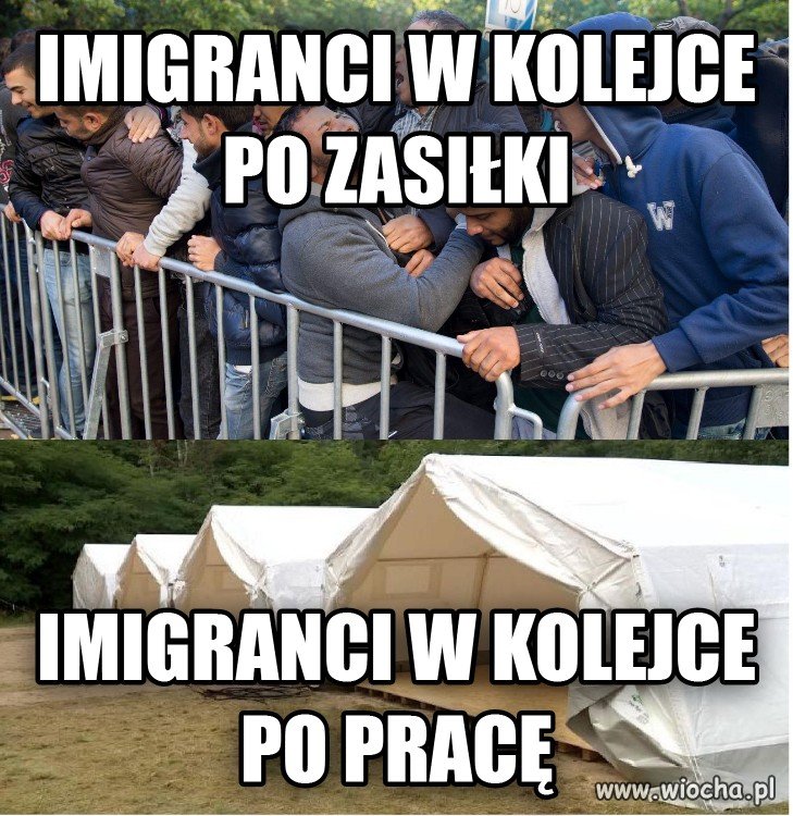 Niemcy potrzebują miliony silnych rąk do pracy