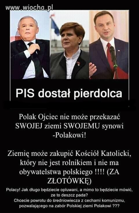 Jak my Polacy lubimy popadać