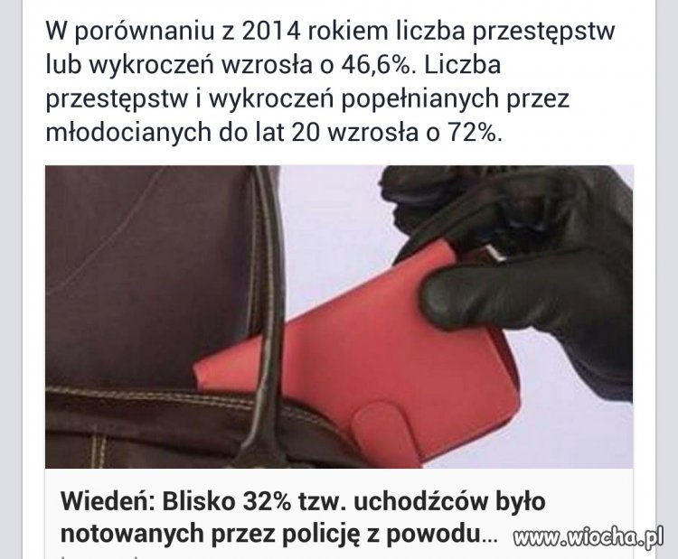 Jedzą piją za nic nie płacą.