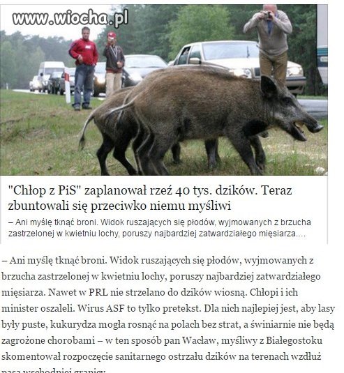 Nawet myśliwi 
