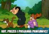 Współczesne bajki