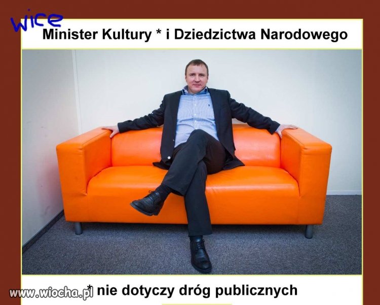 Vice Minister