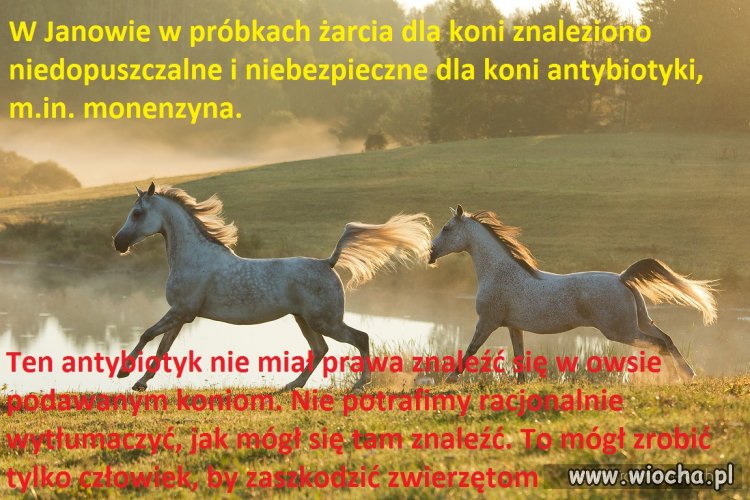 Dalej ktoś twierdzi, że to winna zmiana dyrektora