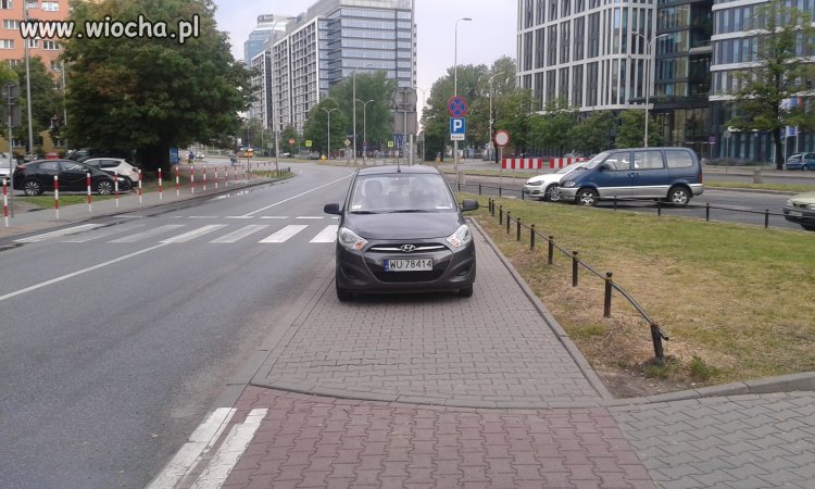 "Miszcz"