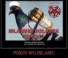 Gołąbek pokoju 