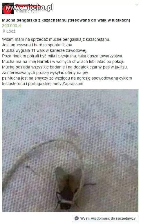 Okazja 
