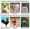 Gwara góralska