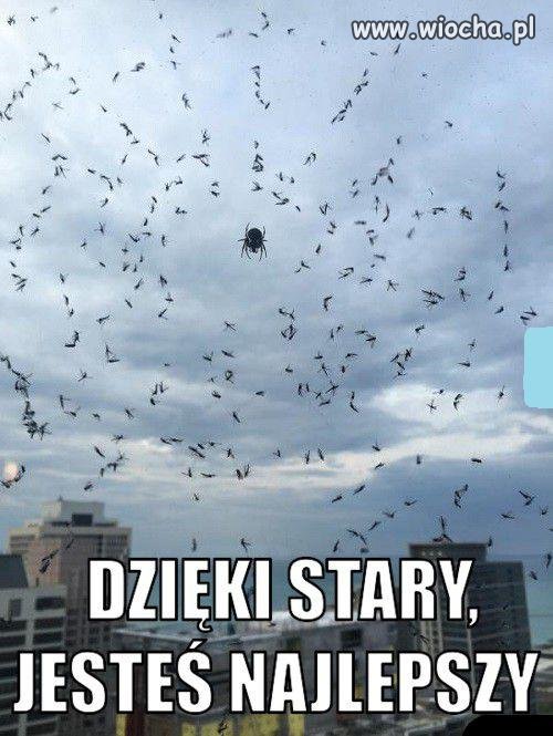 Walczmy razem z tą zarazą