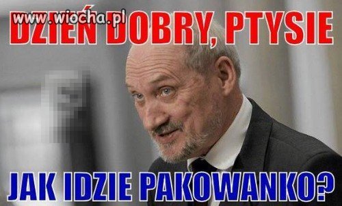 Audyt już jutro
