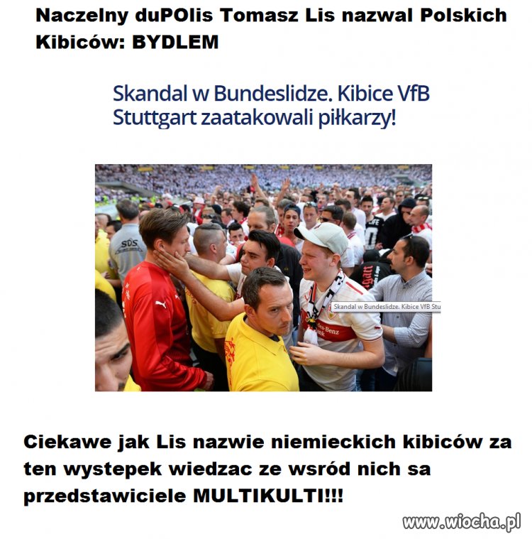 Lis i jemu podobni gardzą Polakami