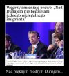 Prawdziwy kozak. Szkoda, że jedyny.