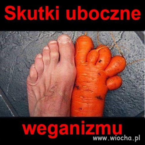 Vegan food = vegan foot