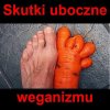 Vegan food = vegan foot